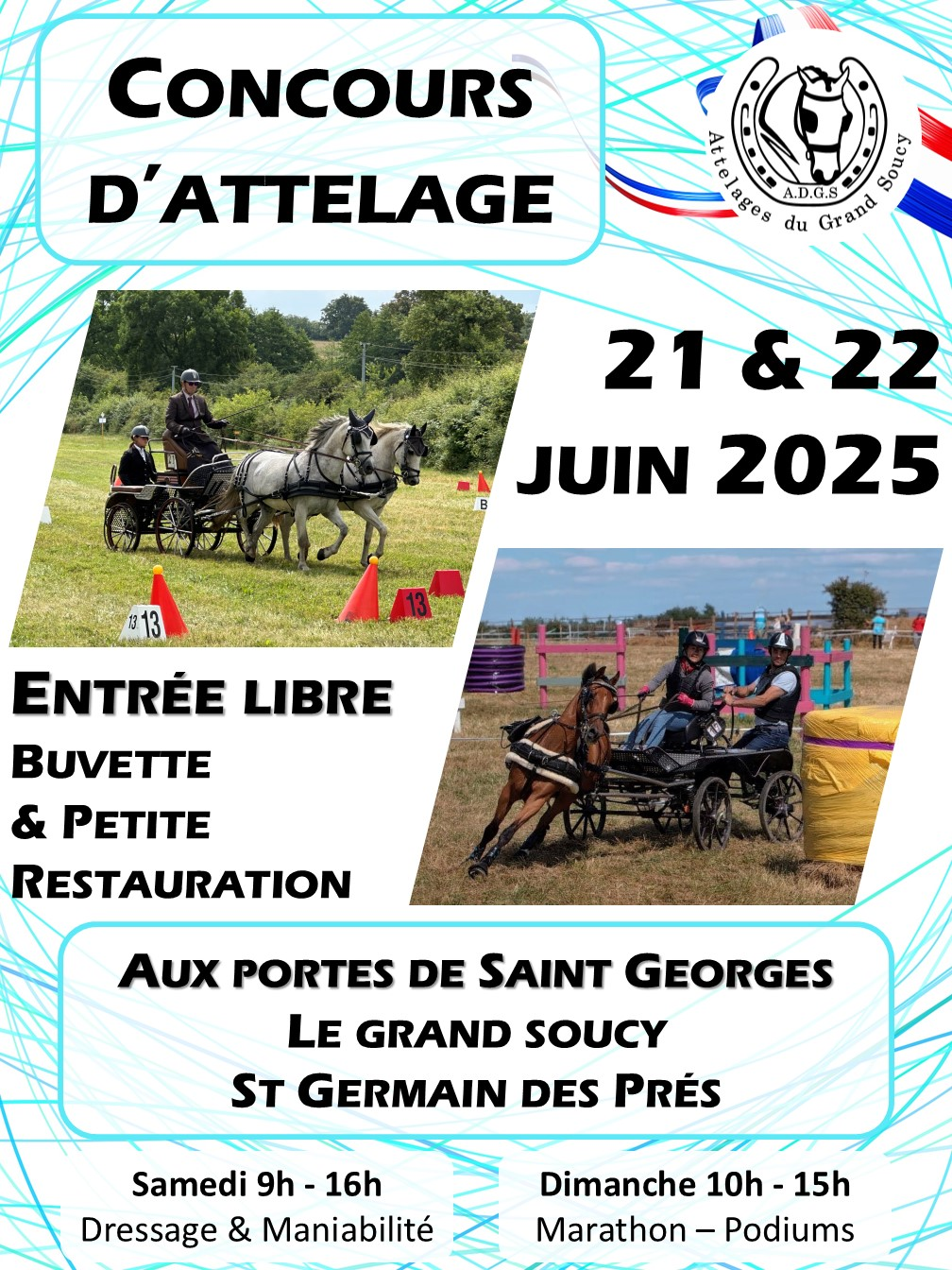 concours attelage